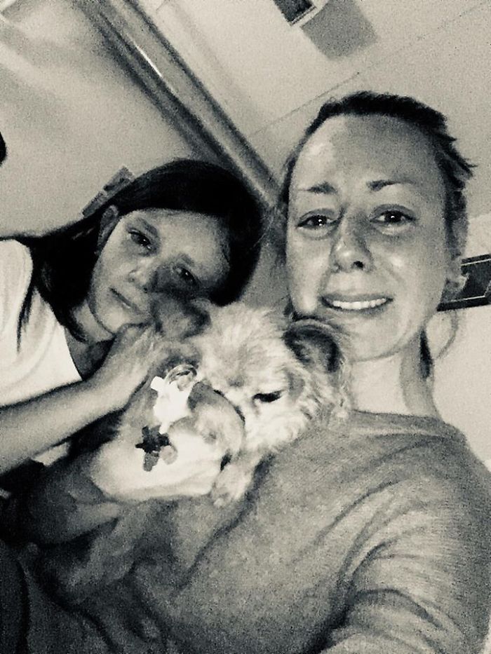 My Precious Dog Passed Away Close To Her 11th Birthday, This Is The Story Of A Lifetime With Her My Precious Dog Passed Away Close To Her 11th Birthday, This Is The Story Of A Lifetime With Her