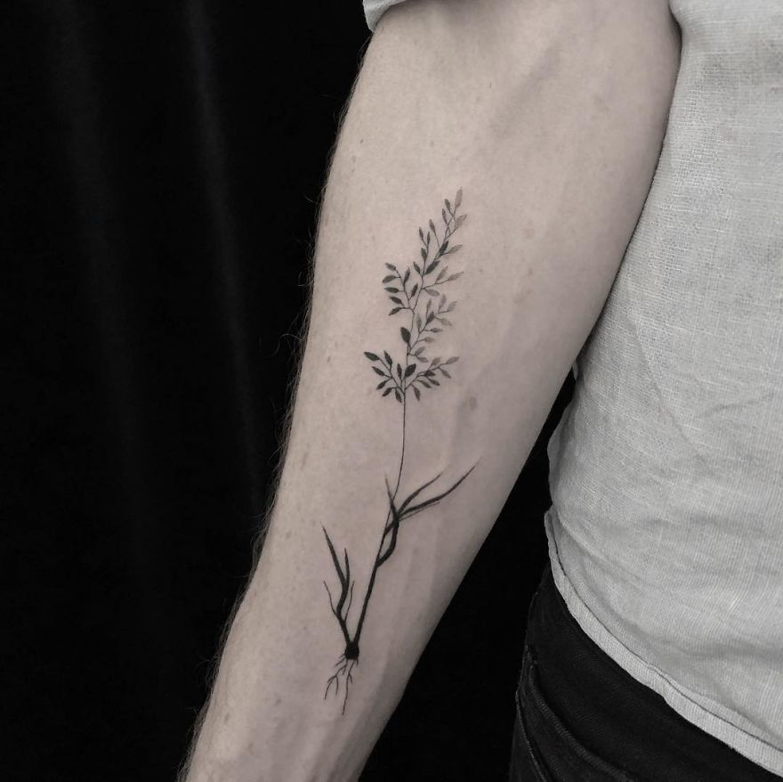 Minimalist botanical tattoo on forearm with delicate plant design.