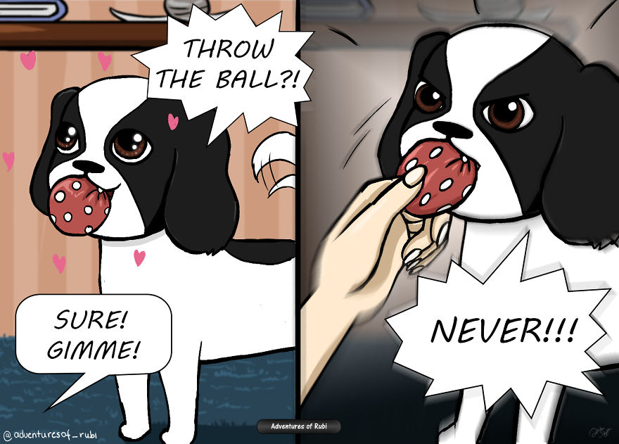 12 Comics That Every Dog Owners Will Understand