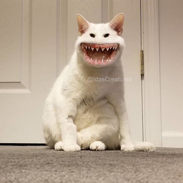 At The Request Of The Owners, Girl Turns Pets Into Monsters In Photoshop And The Result Will Give You Nightmares, Or, Make You Laugh