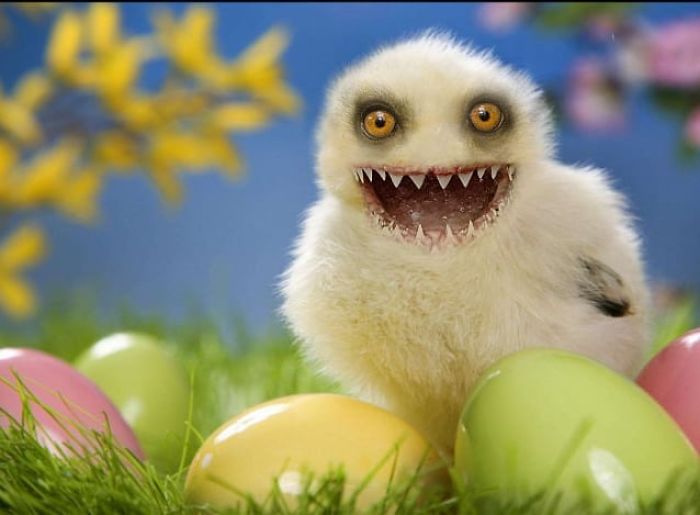 At The Request Of The Owners, Girl Turns Pets Into Monsters In Photoshop And The Result Will Give You Nightmares, Or, Make You Laugh