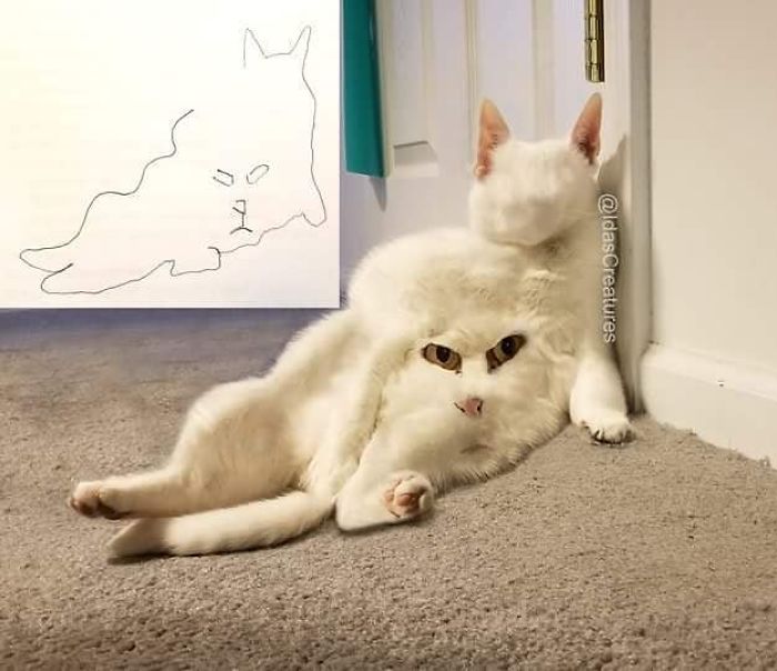 At The Request Of The Owners, Girl Turns Pets Into Monsters In Photoshop And The Result Will Give You Nightmares, Or, Make You Laugh