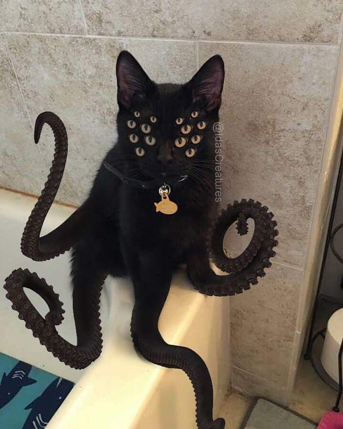 At The Request Of The Owners, Girl Turns Pets Into Monsters In Photoshop And The Result Will Give You Nightmares, Or, Make You Laugh