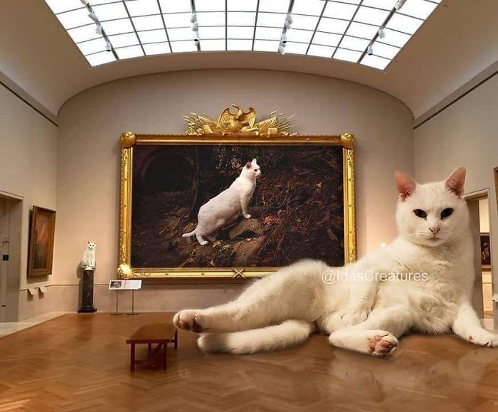 At The Request Of The Owners, Girl Turns Pets Into Monsters In Photoshop And The Result Will Give You Nightmares, Or, Make You Laugh