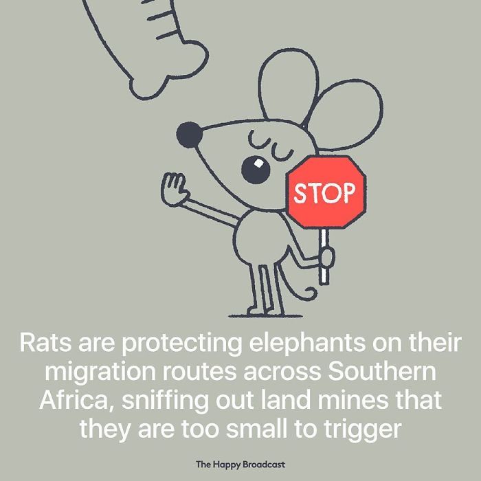 2019 Is Almost Here. It's Time To Enjoy All The (Illustrated) Good News Of 2018!