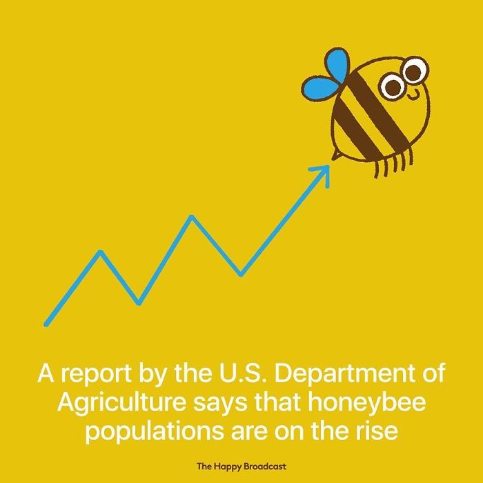 2019 Is Almost Here. It's Time To Enjoy All The (Illustrated) Good News Of 2018!