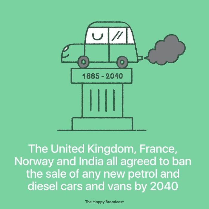 2019 Is Almost Here. It's Time To Enjoy All The (Illustrated) Good News Of 2018!