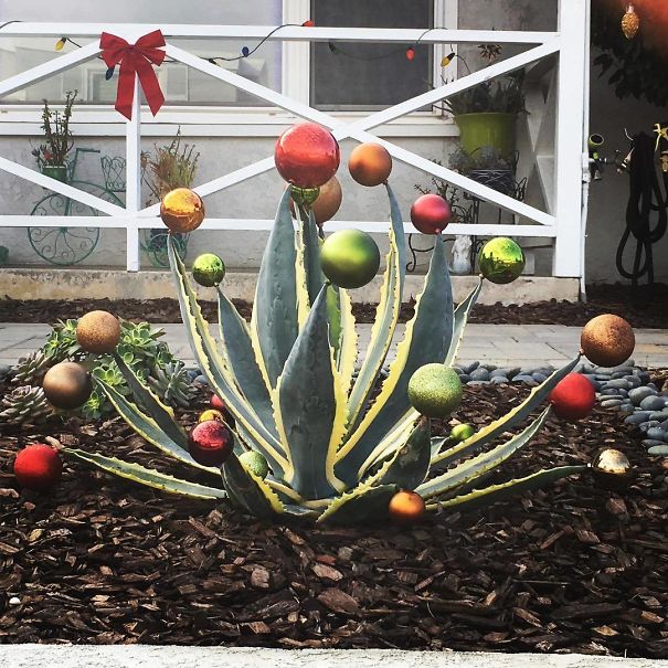 Christmas... San Diego Style