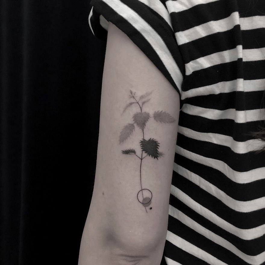 Minimalist botanical tattoo on a person's arm, depicted with delicate leaves and fine lines.