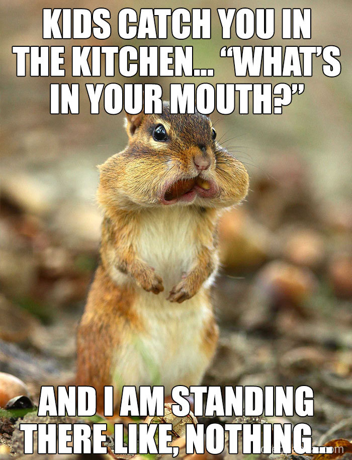 Funny meme of a chipmunk with full cheeks, representing a mom caught snacking by kids in the kitchen.