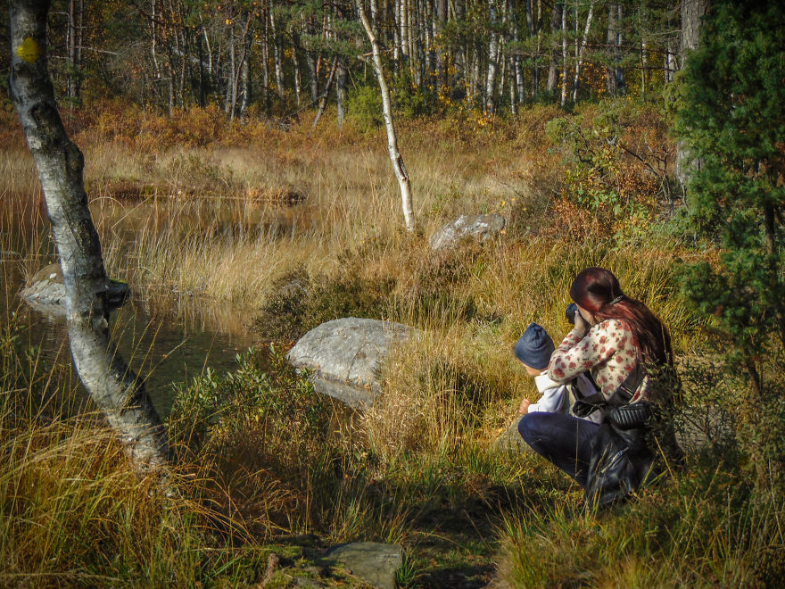 Discovering The Close Surroundings Of My New Home, Sweden Discovering The Close Surroundings Of My New Home, Sweden