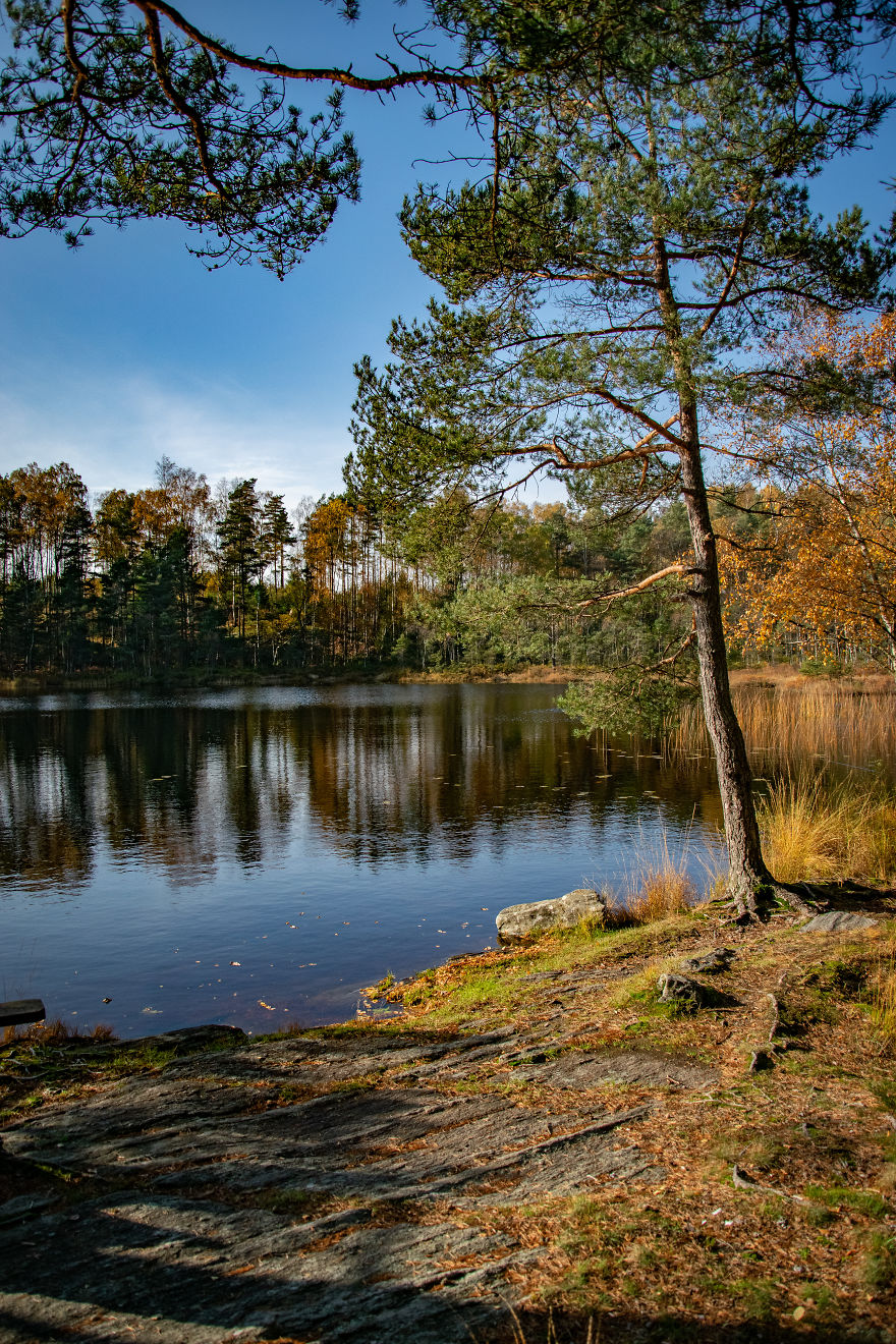 Discovering The Close Surroundings Of My New Home, Sweden Discovering The Close Surroundings Of My New Home, Sweden