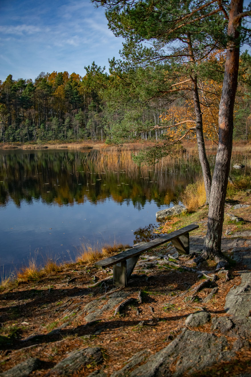 Discovering The Close Surroundings Of My New Home, Sweden Discovering The Close Surroundings Of My New Home, Sweden