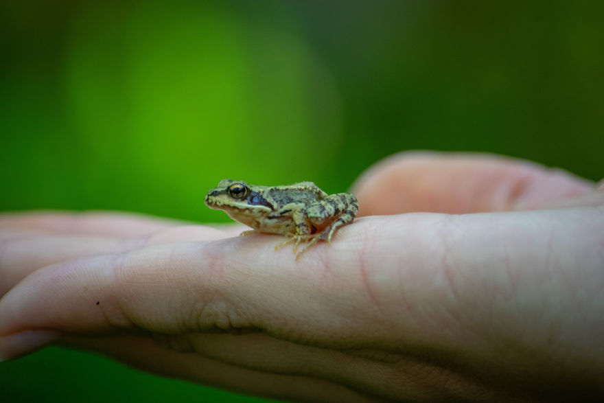 Discovering The Close Surroundings Of My New Home, Sweden