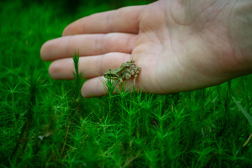 Discovering The Close Surroundings Of My New Home, Sweden Discovering The Close Surroundings Of My New Home, Sweden