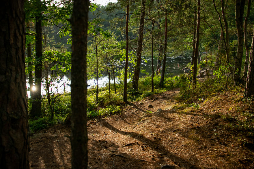 Discovering The Close Surroundings Of My New Home, Sweden Discovering The Close Surroundings Of My New Home, Sweden