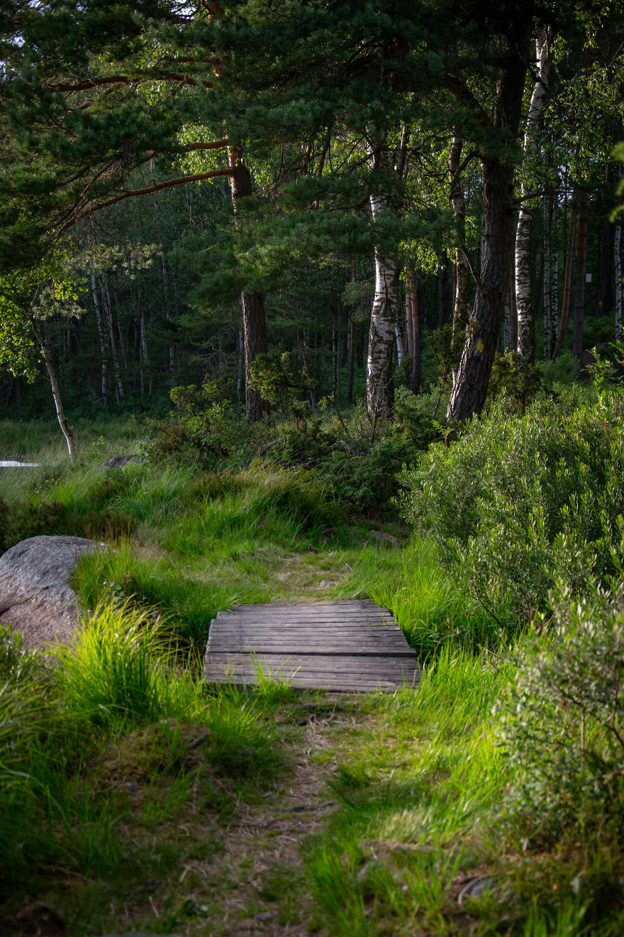 Discovering The Close Surroundings Of My New Home, Sweden