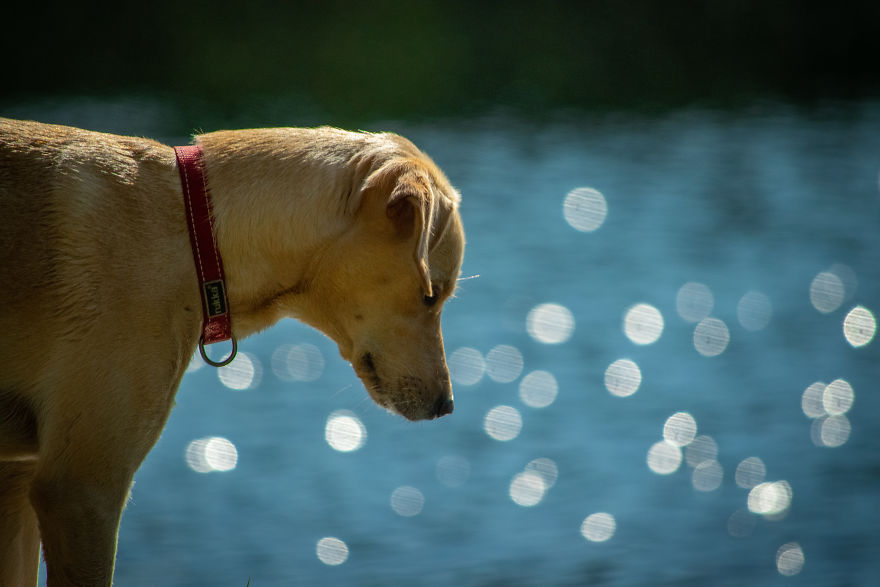 Discovering The Close Surroundings Of My New Home, Sweden Discovering The Close Surroundings Of My New Home, Sweden