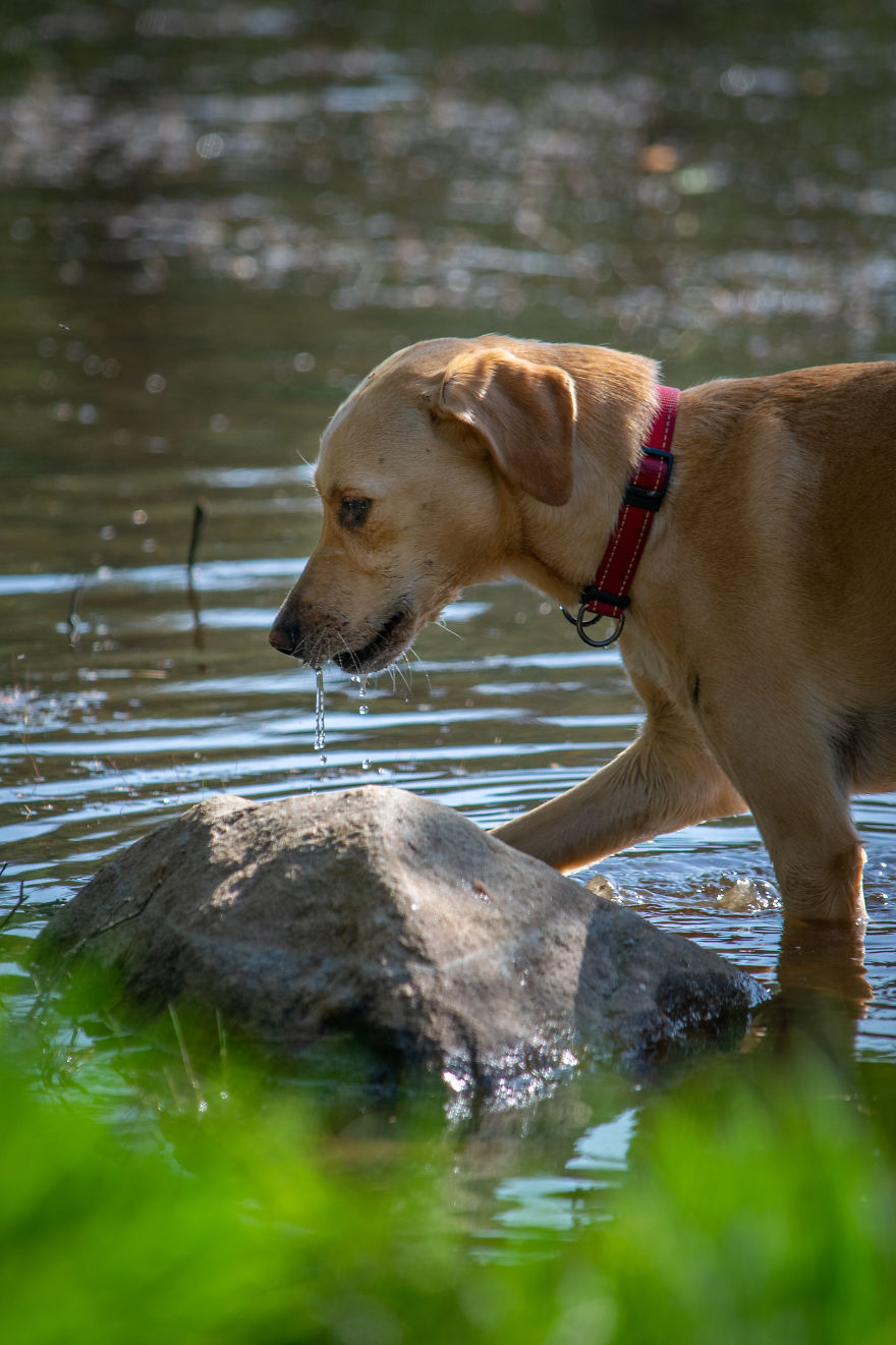 Discovering The Close Surroundings Of My New Home, Sweden Discovering The Close Surroundings Of My New Home, Sweden