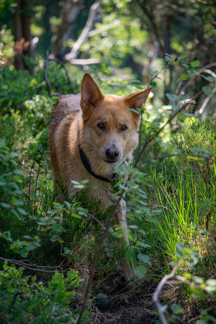 Discovering The Close Surroundings Of My New Home, Sweden