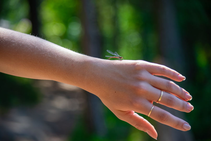 Discovering The Close Surroundings Of My New Home, Sweden Discovering The Close Surroundings Of My New Home, Sweden