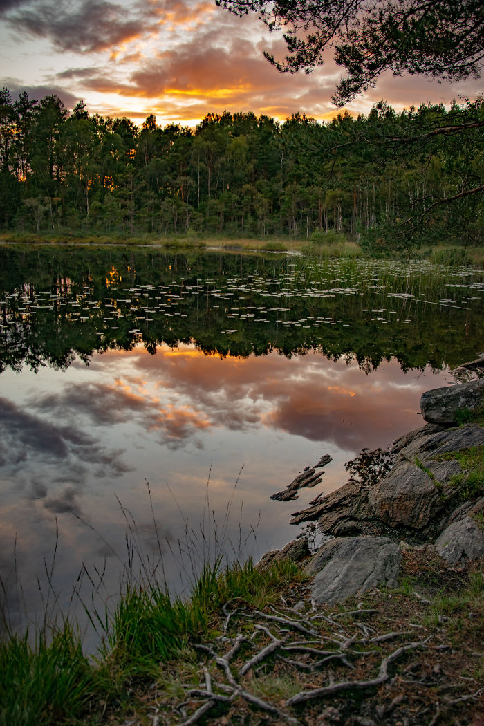 Discovering The Close Surroundings Of My New Home, Sweden