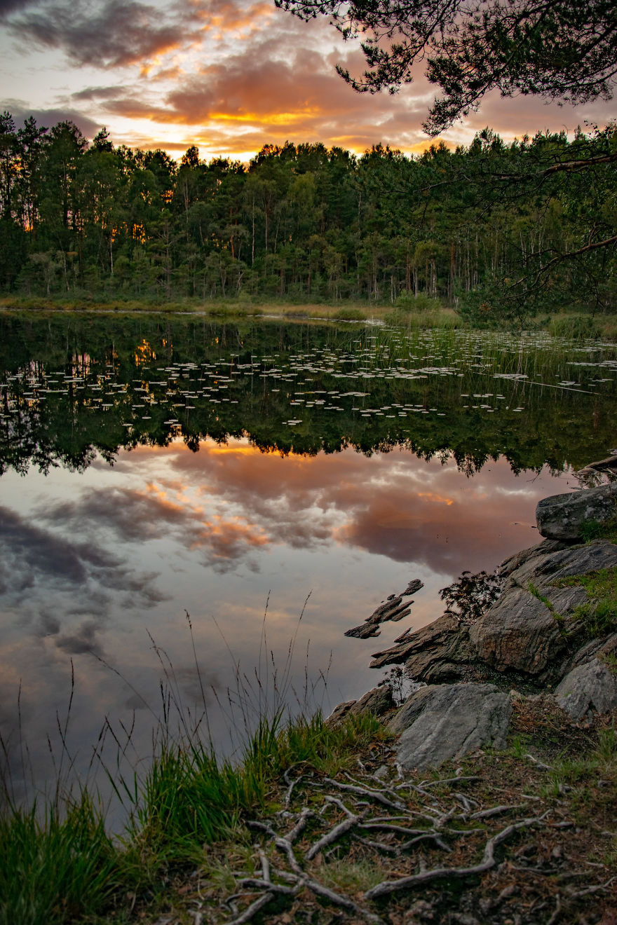 Discovering The Close Surroundings Of My New Home, Sweden Discovering The Close Surroundings Of My New Home, Sweden