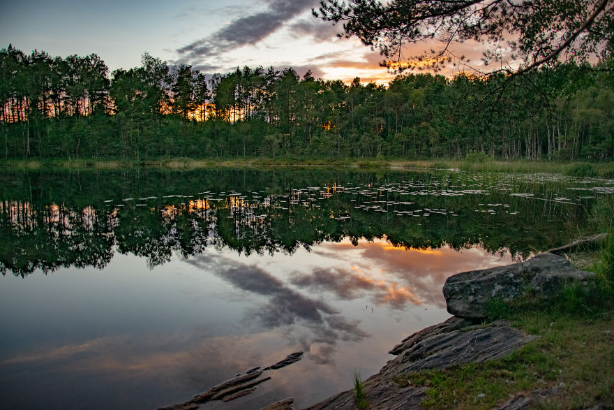 Discovering The Close Surroundings Of My New Home, Sweden Discovering The Close Surroundings Of My New Home, Sweden