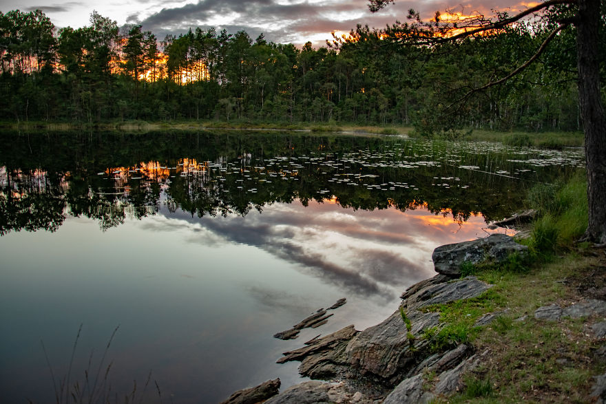 Discovering The Close Surroundings Of My New Home, Sweden Discovering The Close Surroundings Of My New Home, Sweden