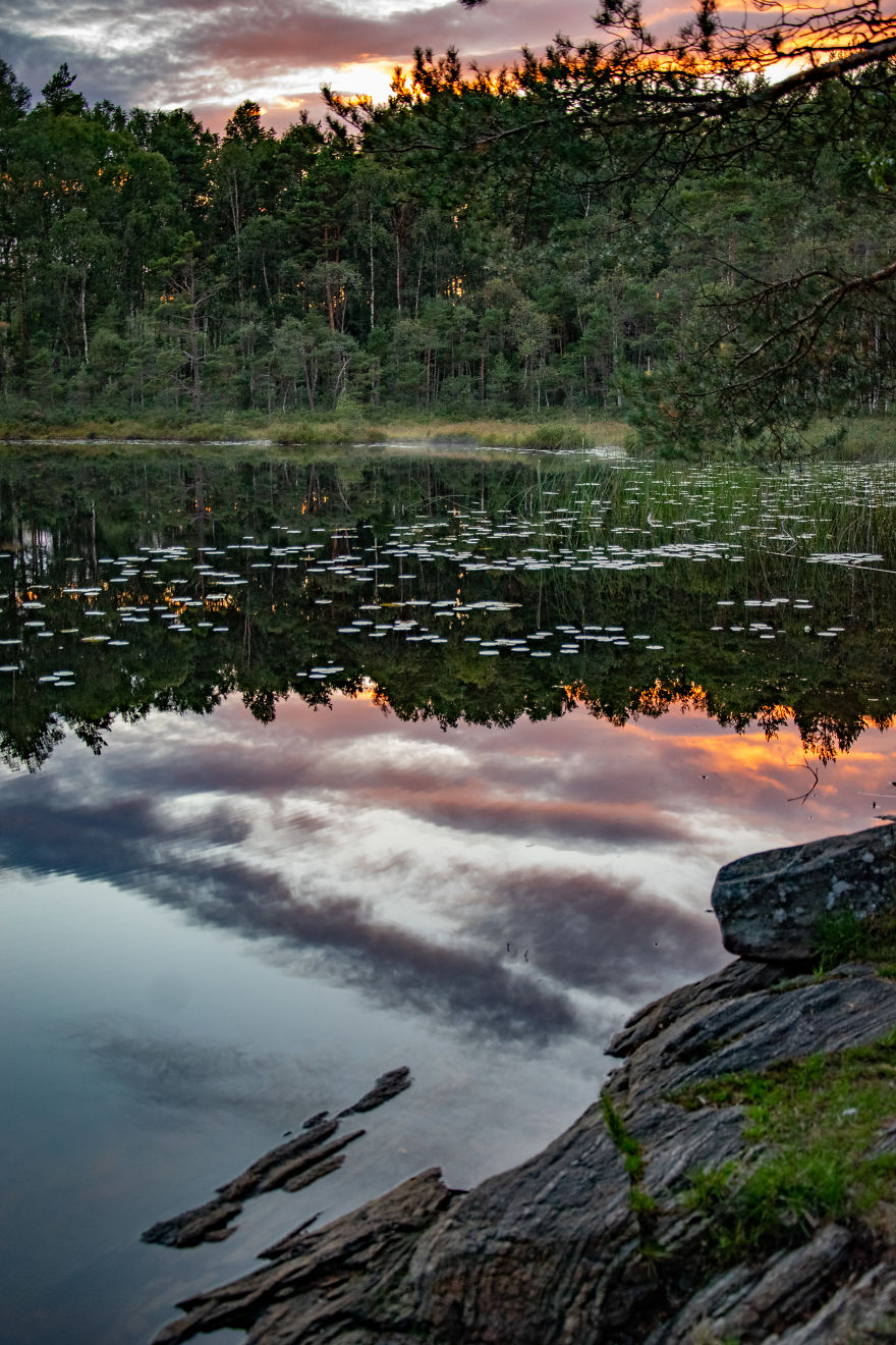 Discovering The Close Surroundings Of My New Home, Sweden