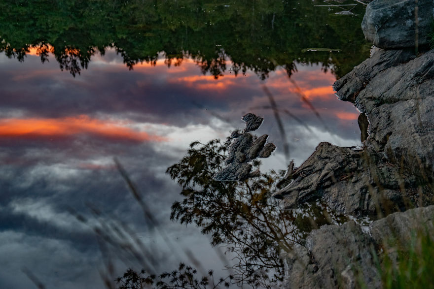 Discovering The Close Surroundings Of My New Home, Sweden