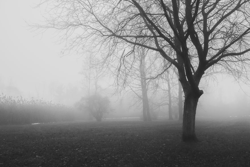 I Took Some Photos In The Midnight Fog I Took Some Photos In The Midnight Fog