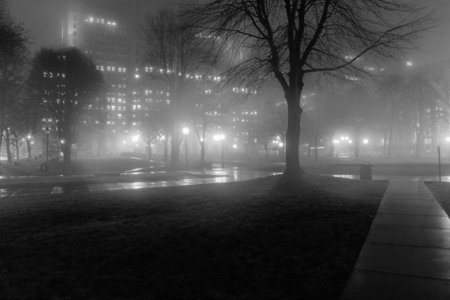 I Took Some Photos In The Midnight Fog I Took Some Photos In The Midnight Fog