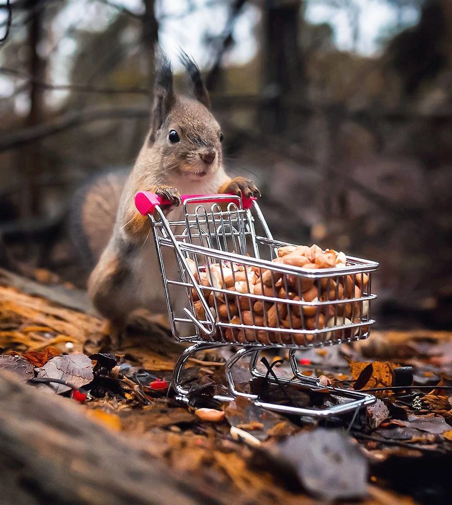 Finnish Photographer Proves Fairy Forests Are Real In Finland