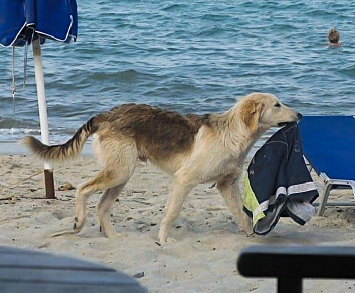 Someone's Having A Bad Day