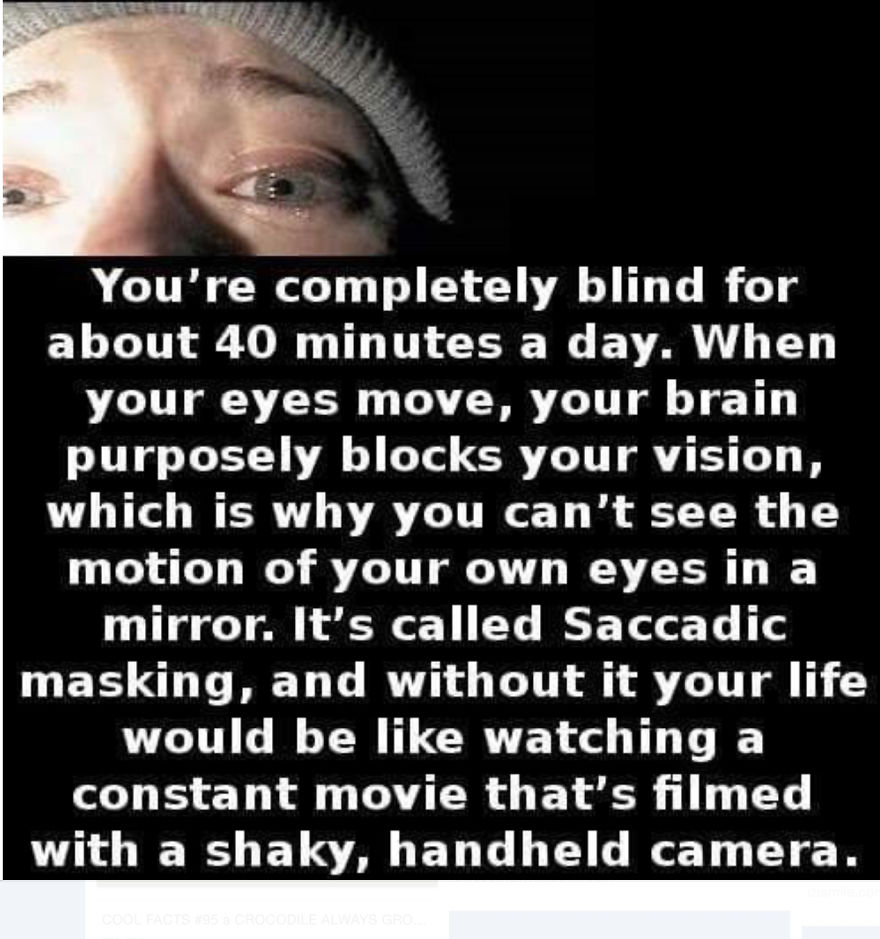 Here Are 10 Facts That You Never Knew