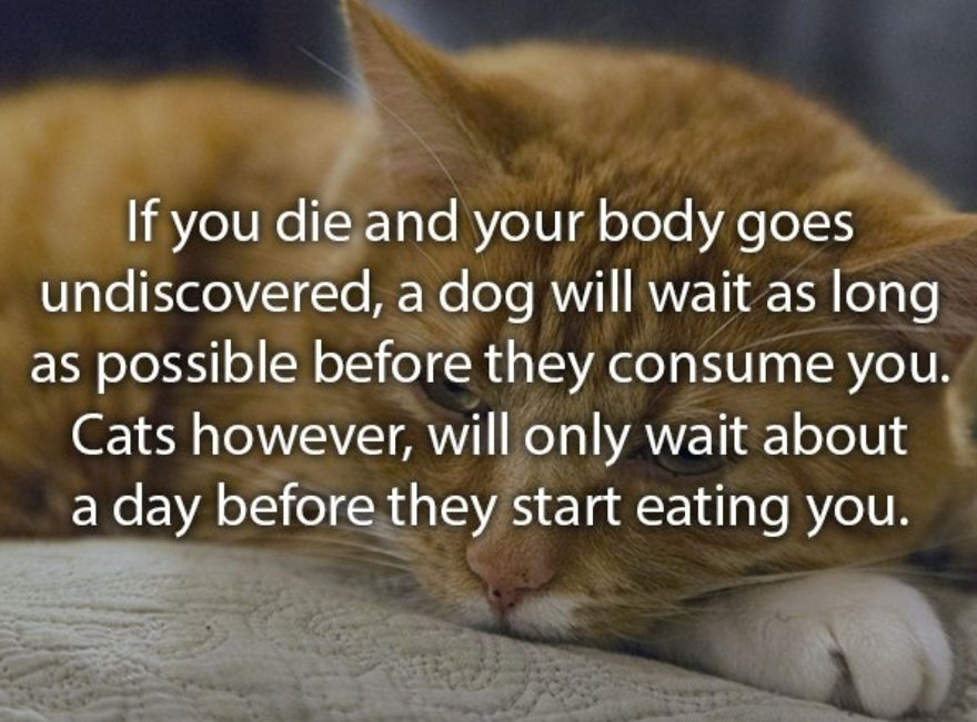 Here Are 10 Facts That You Never Knew