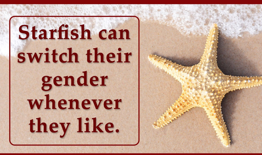 Here Are 10 Facts That You Never Knew