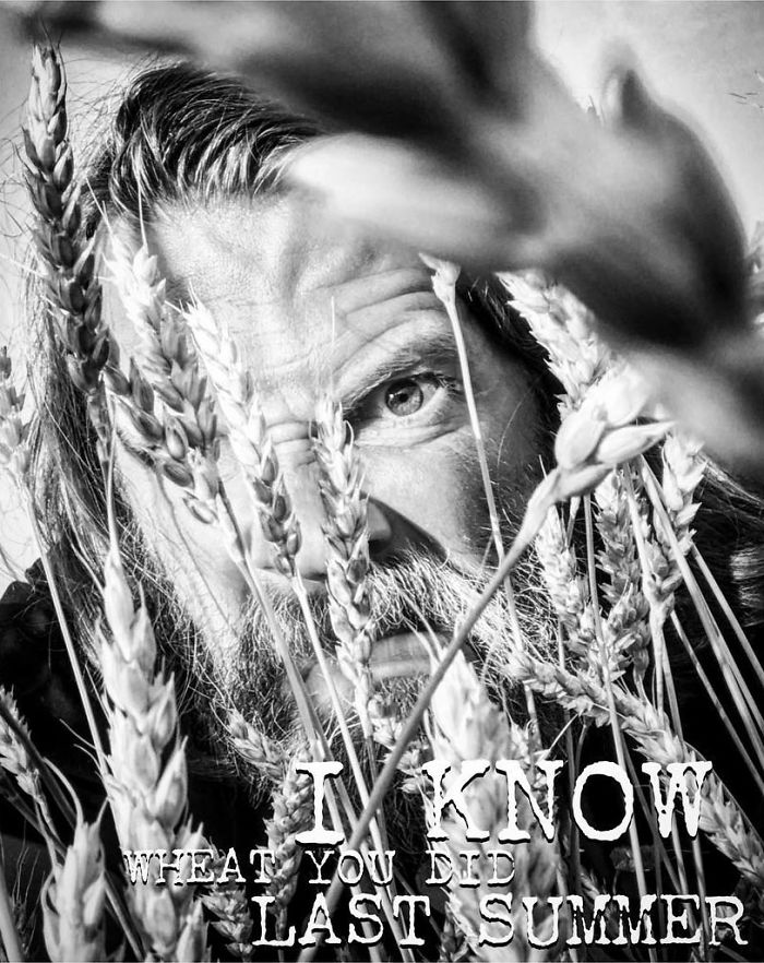 Ryet, But Wheat Do You Grain From That?