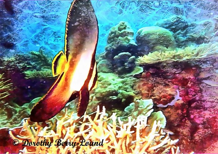 I Created Art From Some Old Underwater Photographs