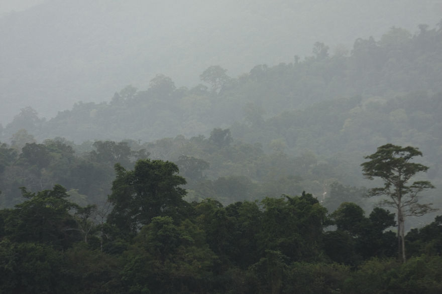 I Have Done A Research On Exotic Andaman Islands Where Sentinel Is Located I Have Done A Research On Exotic Andaman Islands Where Sentinel Is Located