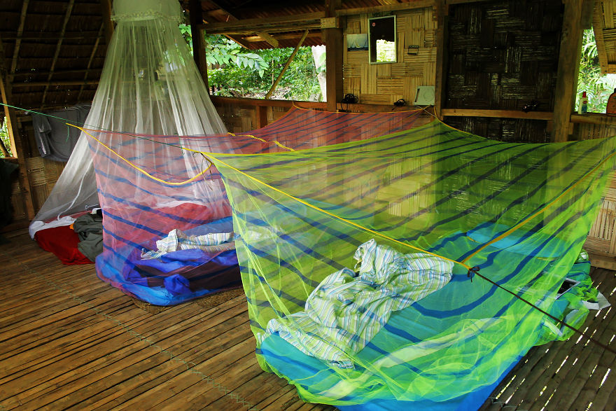 I Have Done A Research On Exotic Andaman Islands Where Sentinel Is Located I Have Done A Research On Exotic Andaman Islands Where Sentinel Is Located