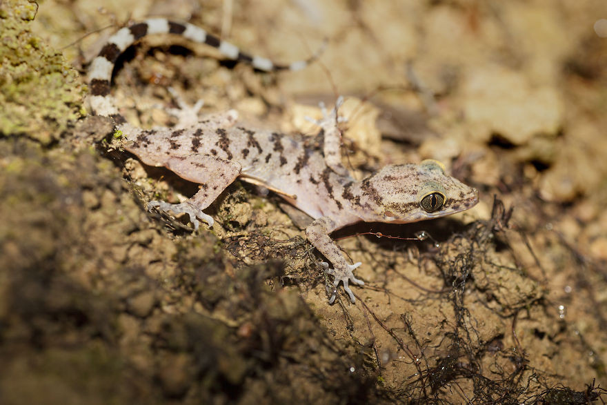 I Have Done A Research On Exotic Andaman Islands Where Sentinel Is Located I Have Done A Research On Exotic Andaman Islands Where Sentinel Is Located