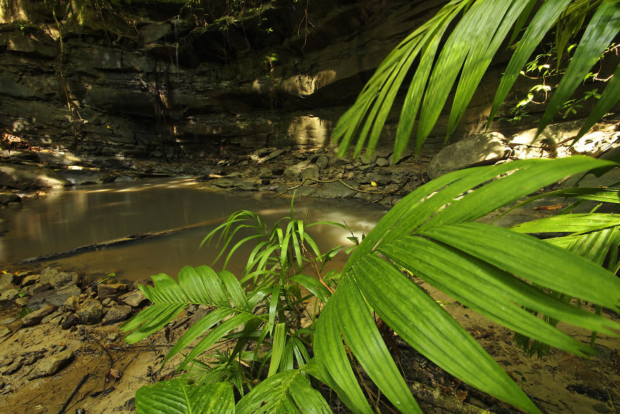 I Have Done A Research On Exotic Andaman Islands Where Sentinel Is Located