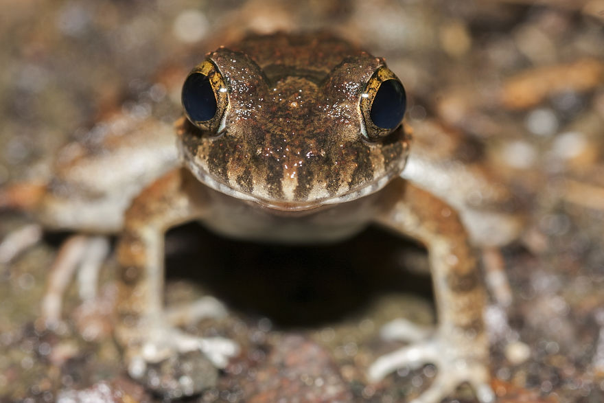 I Have Done A Research On Exotic Andaman Islands Where Sentinel Is Located