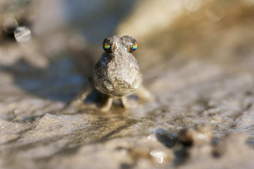 I Have Done A Research On Exotic Andaman Islands Where Sentinel Is Located I Have Done A Research On Exotic Andaman Islands Where Sentinel Is Located