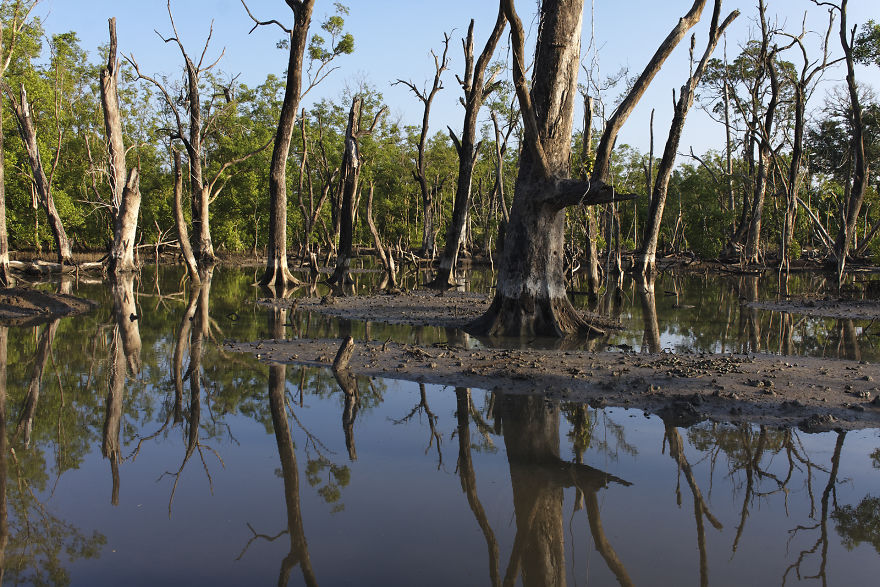 I Have Done A Research On Exotic Andaman Islands Where Sentinel Is Located