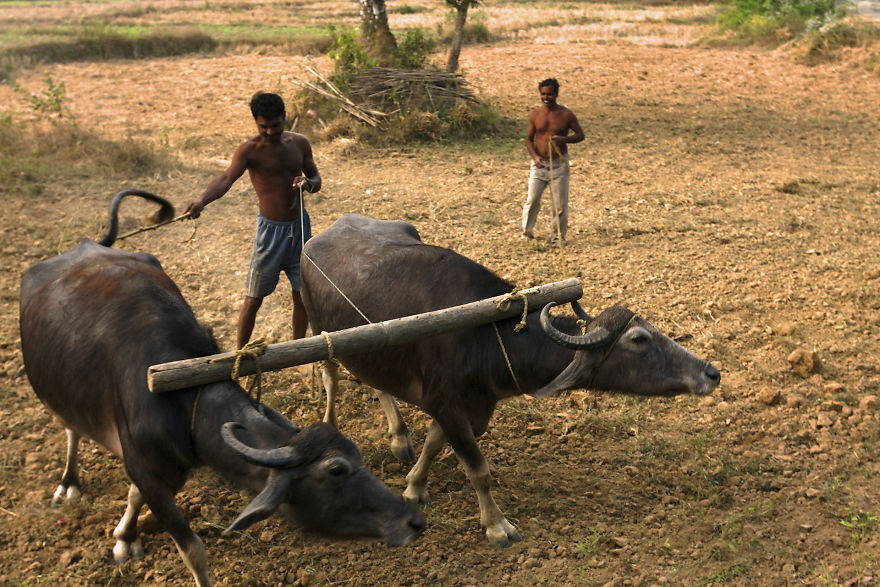 I Have Done A Research On Exotic Andaman Islands Where Sentinel Is Located