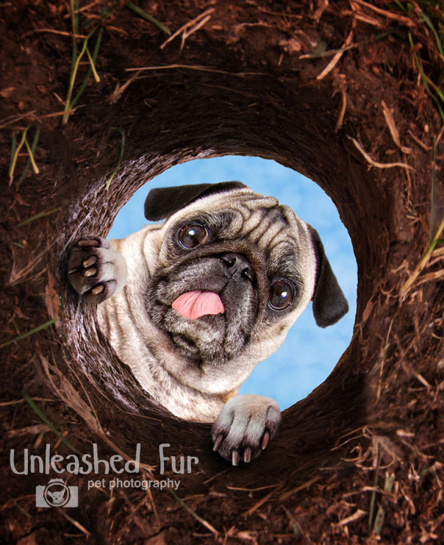 Foo (Aka) Buddha - Crossed