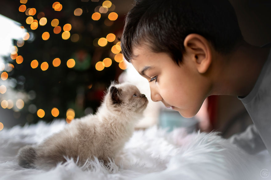 I Take Beautiful Portraits Of Children